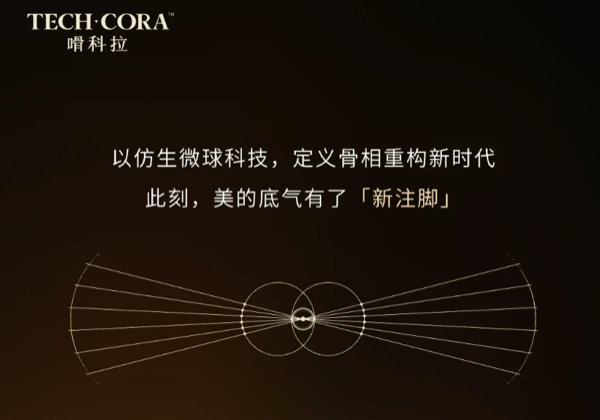 嗗科拉优势.png